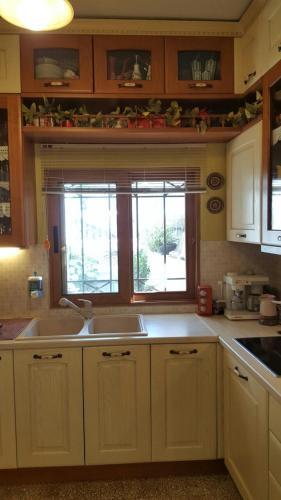 Apartamento Mansion Alexandri