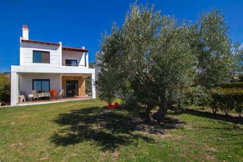 Beautiful Summer Villa- Anemi Beach