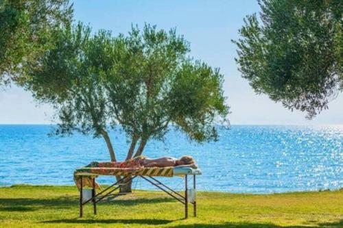 Beautiful Summer Villa- Anemi Beach