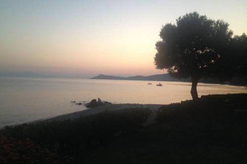 Beautiful Summer Villa- Anemi Beach