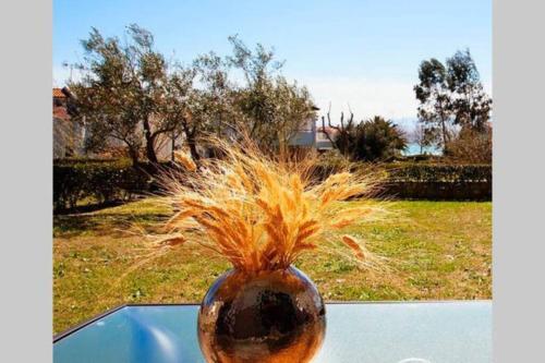 Beautiful Summer Villa- Anemi Beach