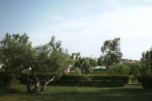 Beautiful Summer Villa- Anemi Beach