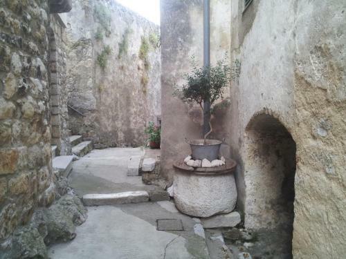 Studio Apartman Laura, Mo??enice 47