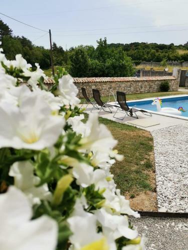 Villa Apartments Accordia