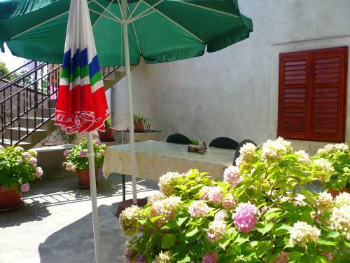 Hostal Guesthouse Palma