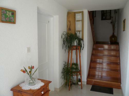 Hostal Guesthouse Palma