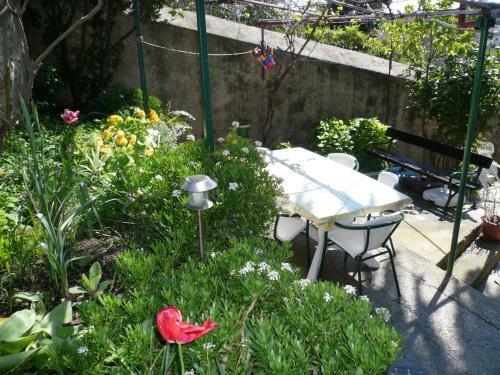 Hostal Guesthouse Palma