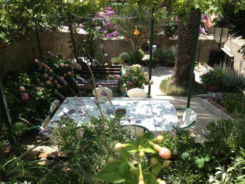 Hostal Guesthouse Palma