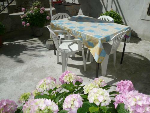 Hostal Guesthouse Palma