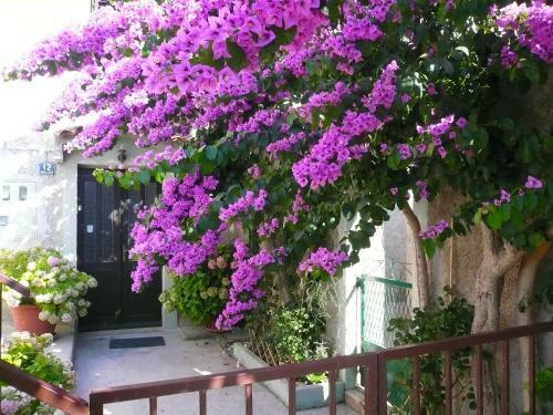 Hostal Guesthouse Palma