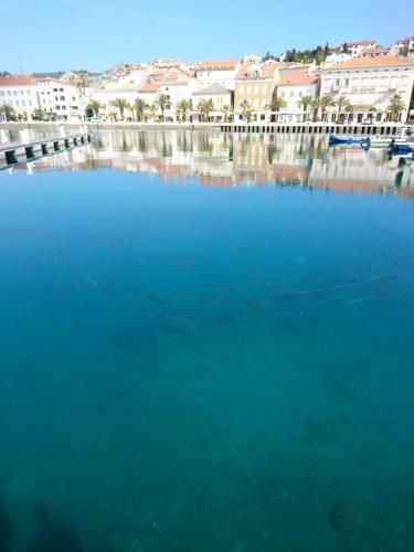Hostal Guesthouse Palma