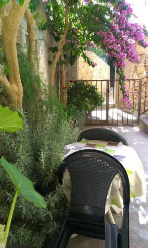 Hostal Guesthouse Palma