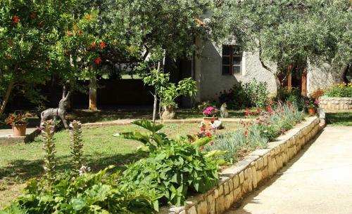 Hostal Anka