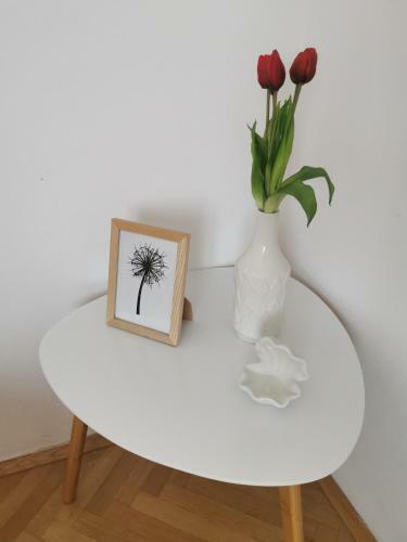 Apartment White Pearl