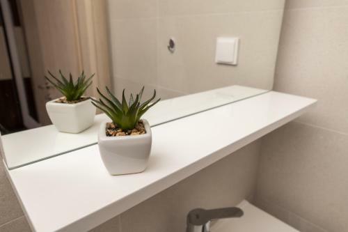 Hostal Mlini Rooms