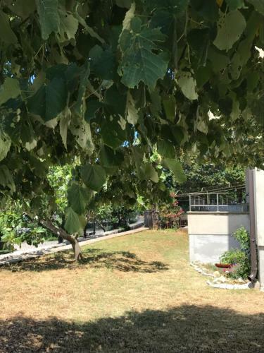Apartamento Villa Simonetti