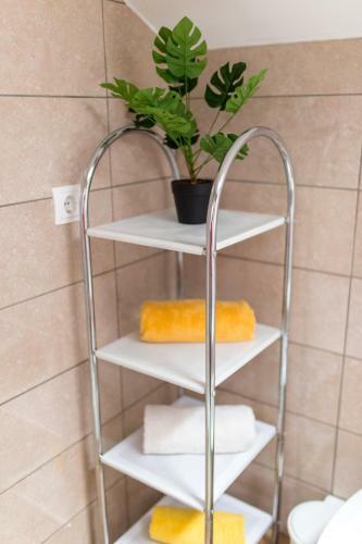 Apartamento Villa Simonetti