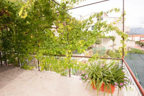 Apartmani Galija