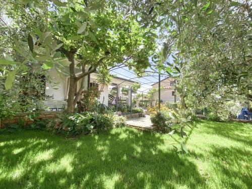 Apartamentos Pjerina