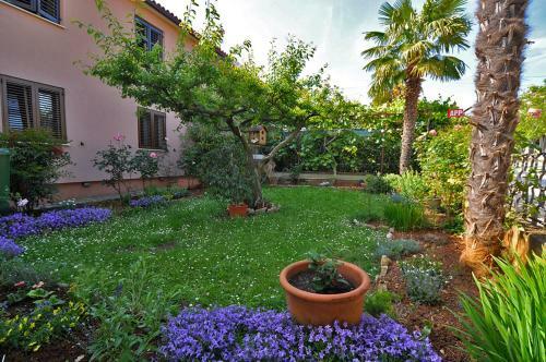 Apartamento Casa Istriana