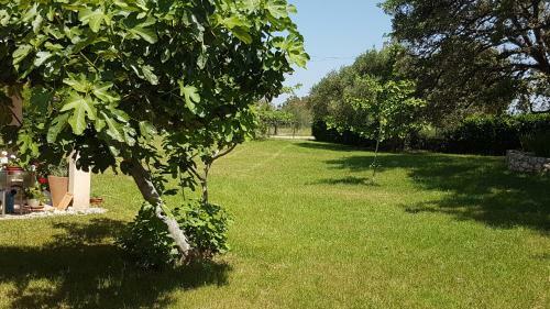 Apartamento Vila Vicko