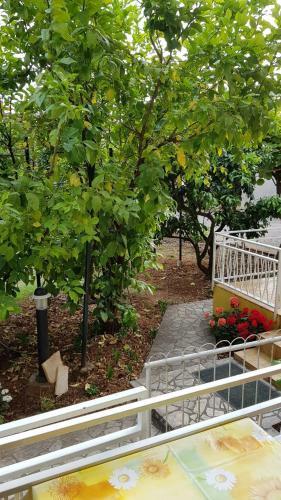 Apartments Ana