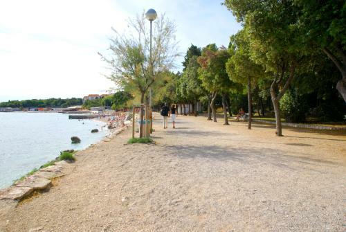 Apartments Buneta