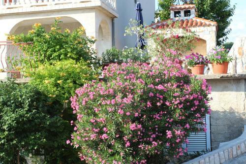 Apartment Djurdjica
