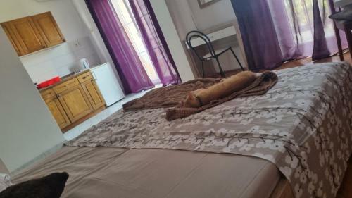 Hostal Apartmani Erika