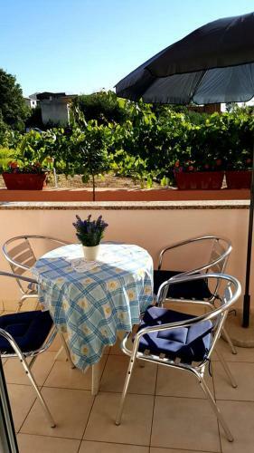 Apartmani Jure