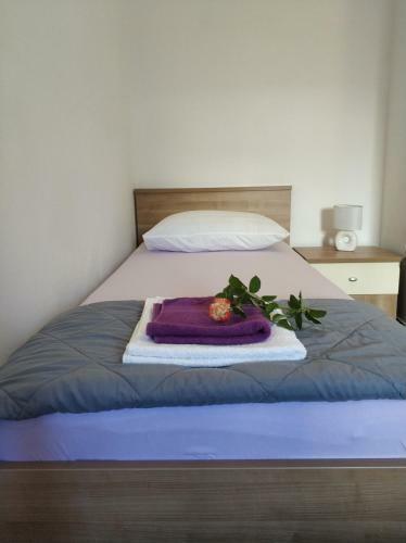 Apartmani Dali