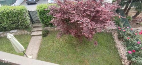 Apartamento Flower Home Brissago