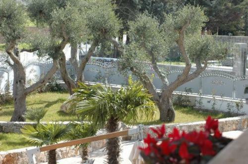 Tesoretto Hotel