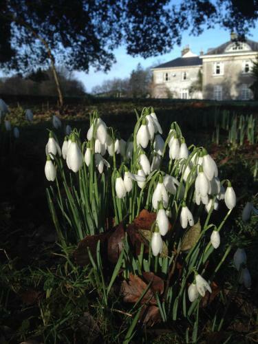 Dunbrody Country House Hotel