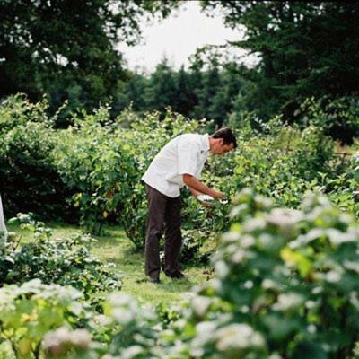 Dunbrody Country House Hotel