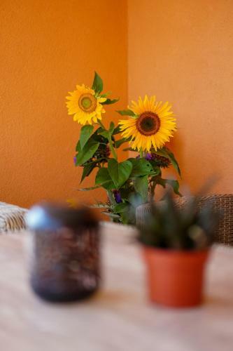 Apartamento Maslina & Lavanda