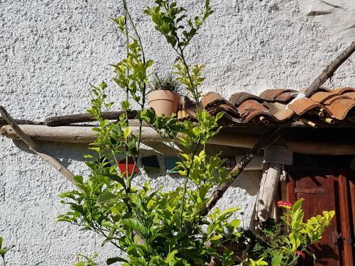 Bed & Breakfast Limolo Guesthouse