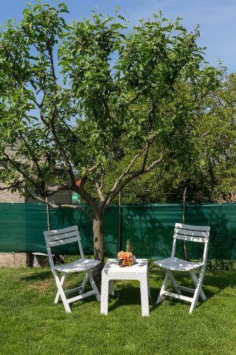Apartamentos House Anna