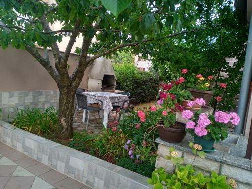 Apartmani Alma