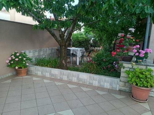 Apartmani Alma