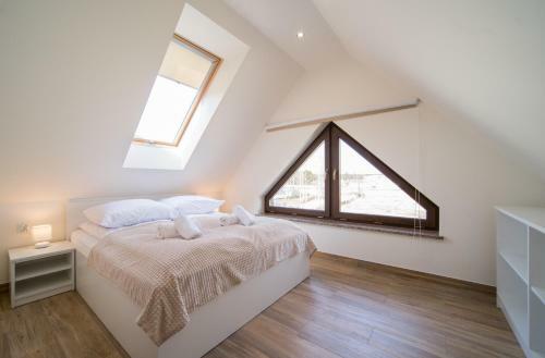 Aston Vila Apartments