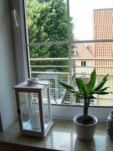 Apartament Boya