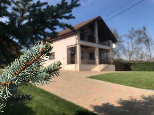 Villa Floarea *****