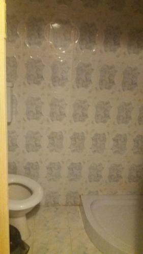 Hostal Pensiunea Miesca