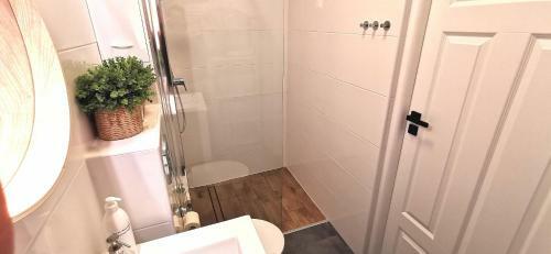 Apartamento Studio Przy Neptunie
