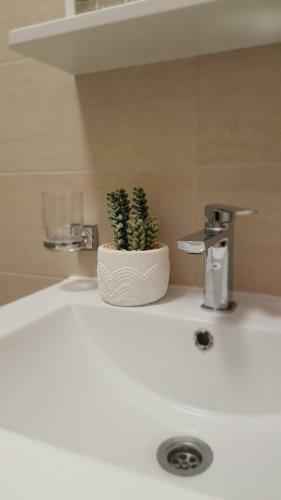 Aleda Apartment Mamaia Nord