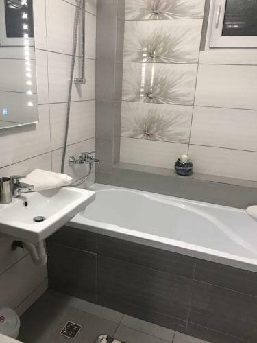 Apartament Turcoaz