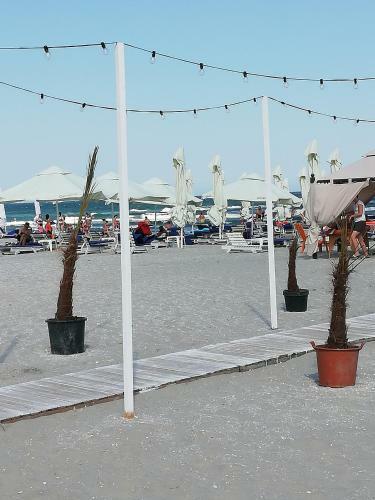 Beach View Apartment