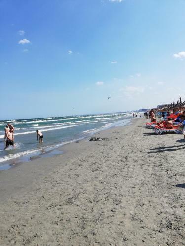 Beach View Apartment