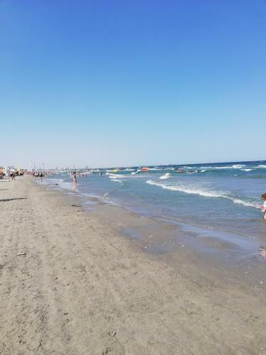 Beach View Apartment
